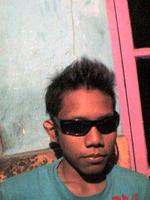 Tofa (1)